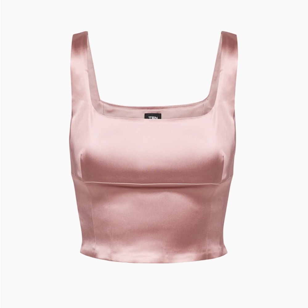 Aritzia Shine Satin Bustier/Clouded Pink